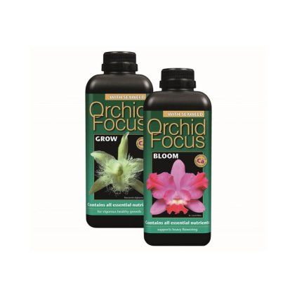 Growth Technology Orchid Focus Grow