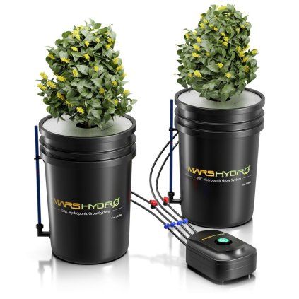 mars hydro dwc hydroponicky system (8)