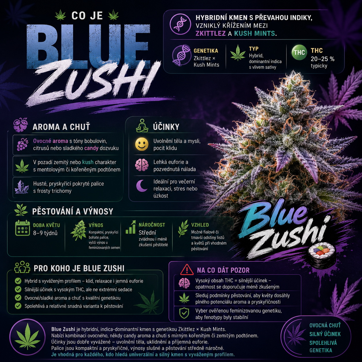🌿 Co je Blue Zushi