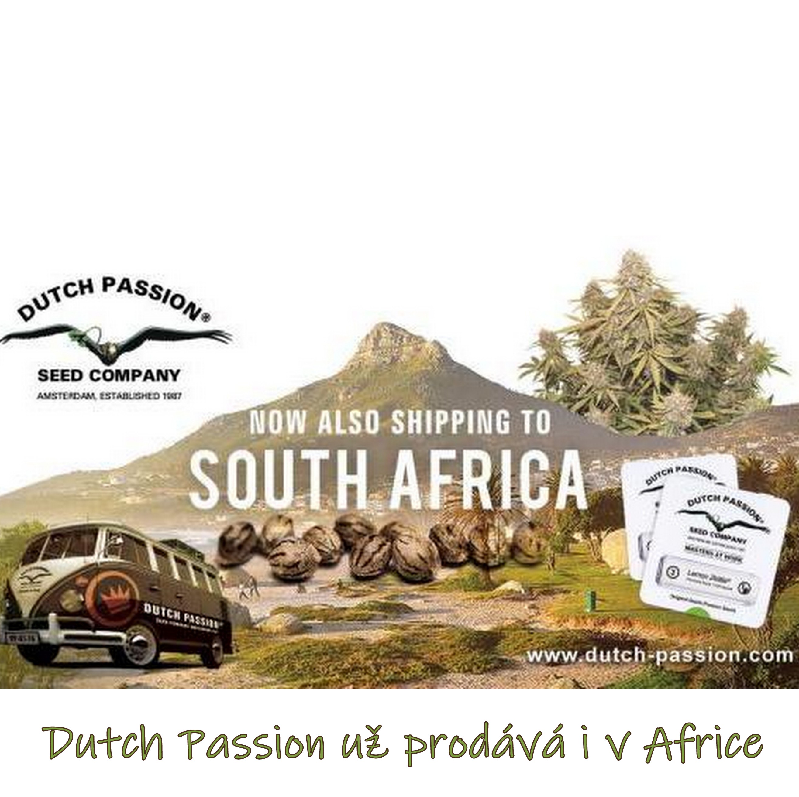 Dutch Passion začala prodávat semena konopí v Jižní Africe