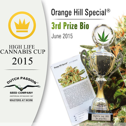 va velké úspěchy na High Life Cannabis Cup