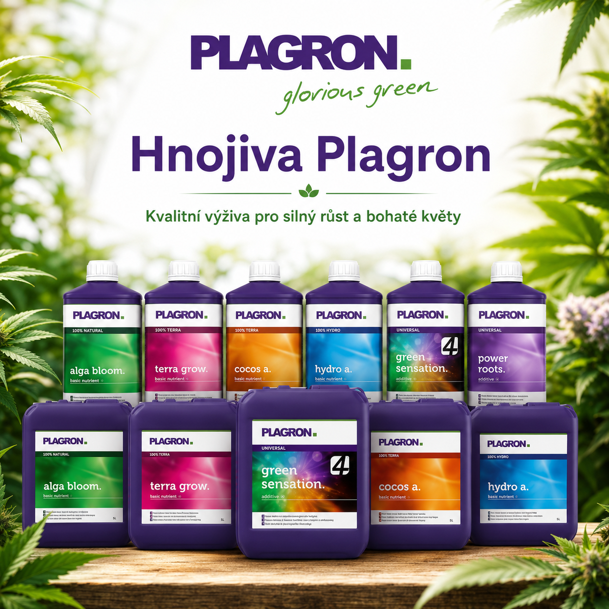 Plagron hnojiva, kompletní přehled pro pěstitele