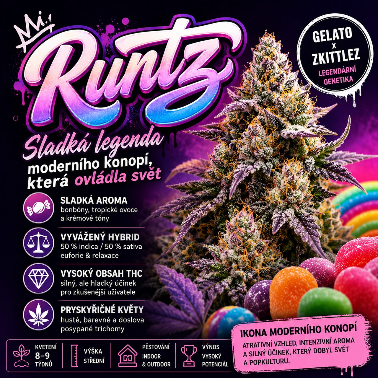 Runtz: Sladká legenda moderního konopí, která ovládla svět