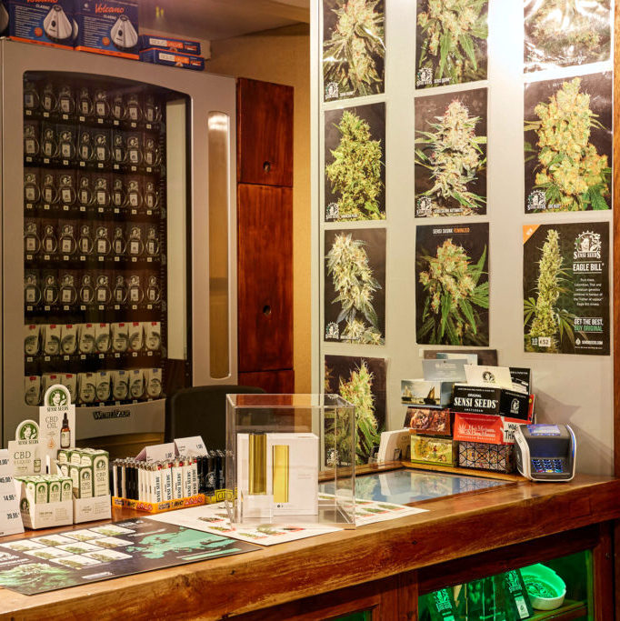 Sensi Seeds: Přední Seedbanka S Tradiční Kvalitou