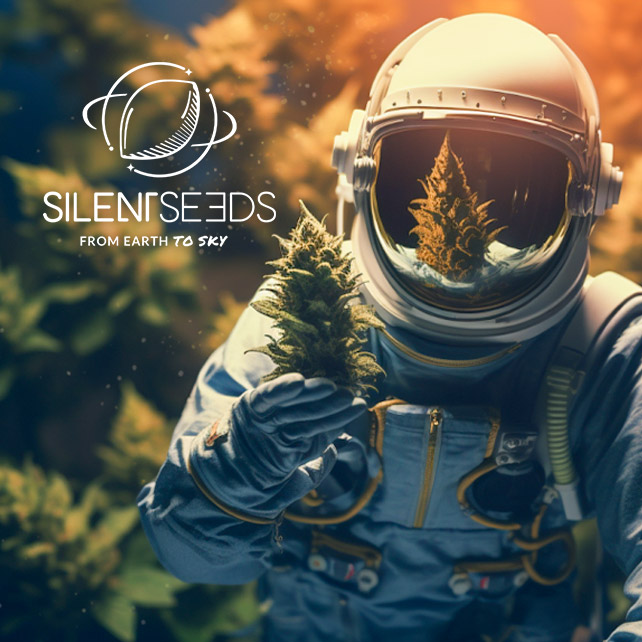 Nová doba pro growery: Vítejte u Silent Seeds!