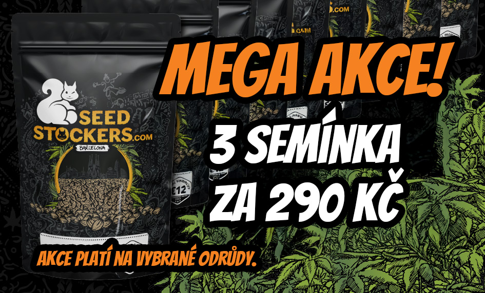 Akce na Seedstockers