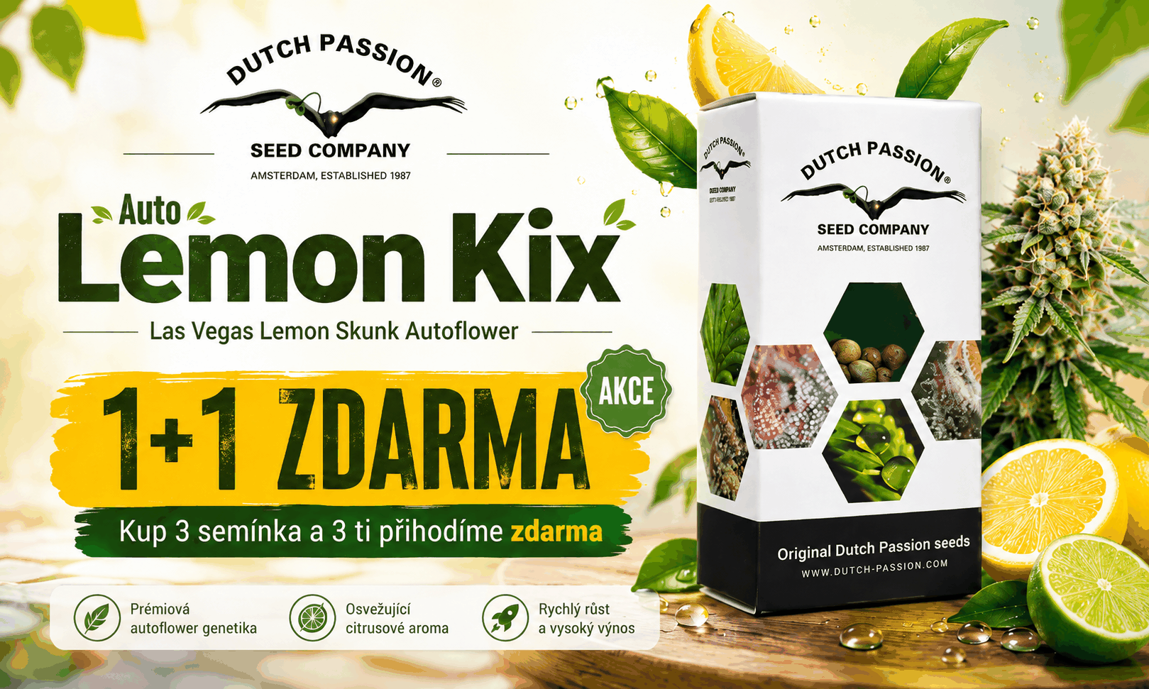 Auto Lemon Kix