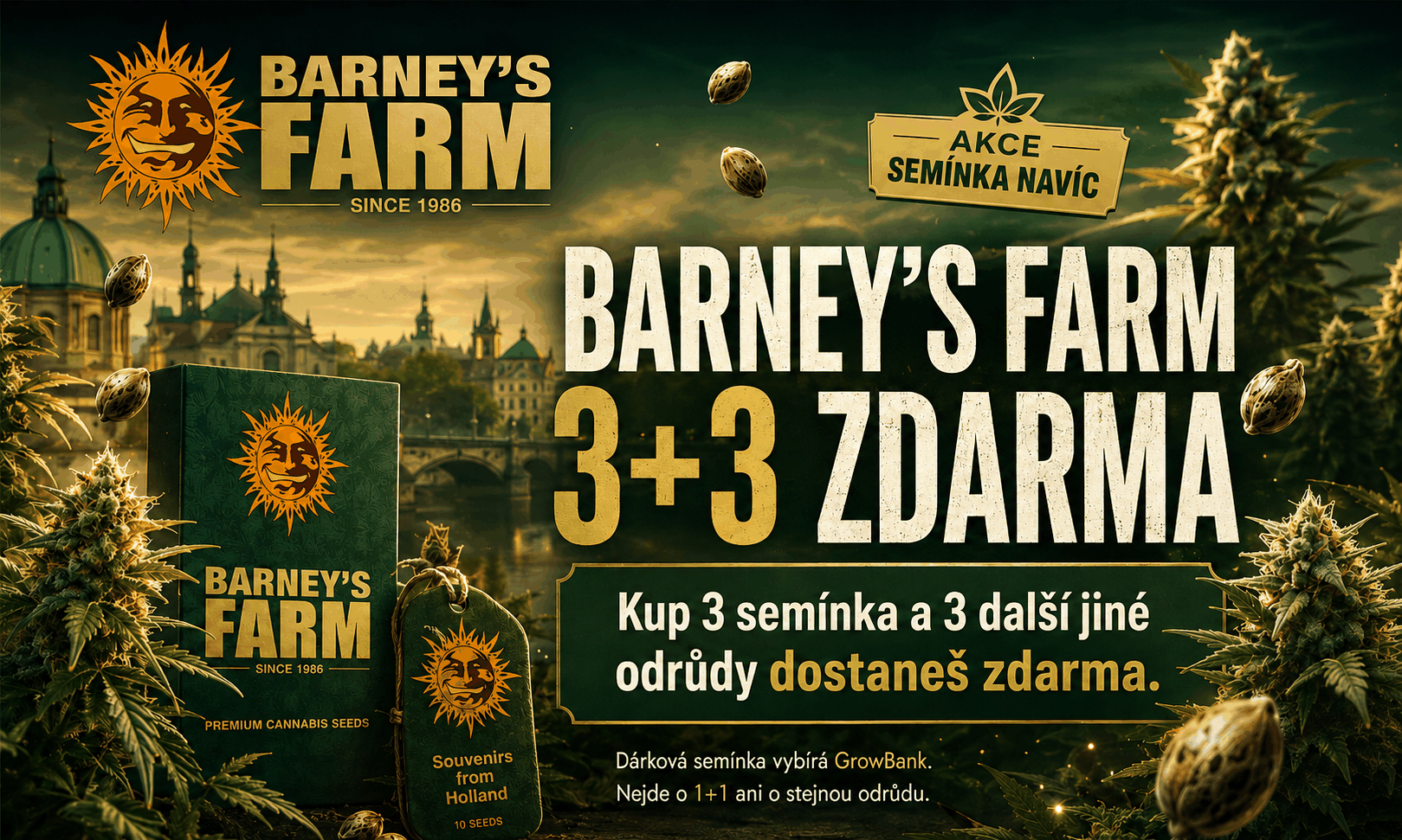 Barneys farm 3+3