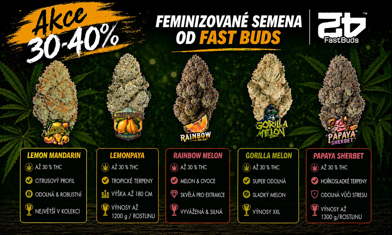 fastbuds new femi
