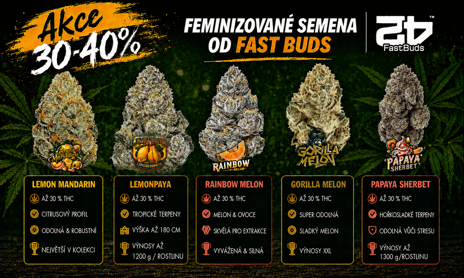 fastbuds new femi