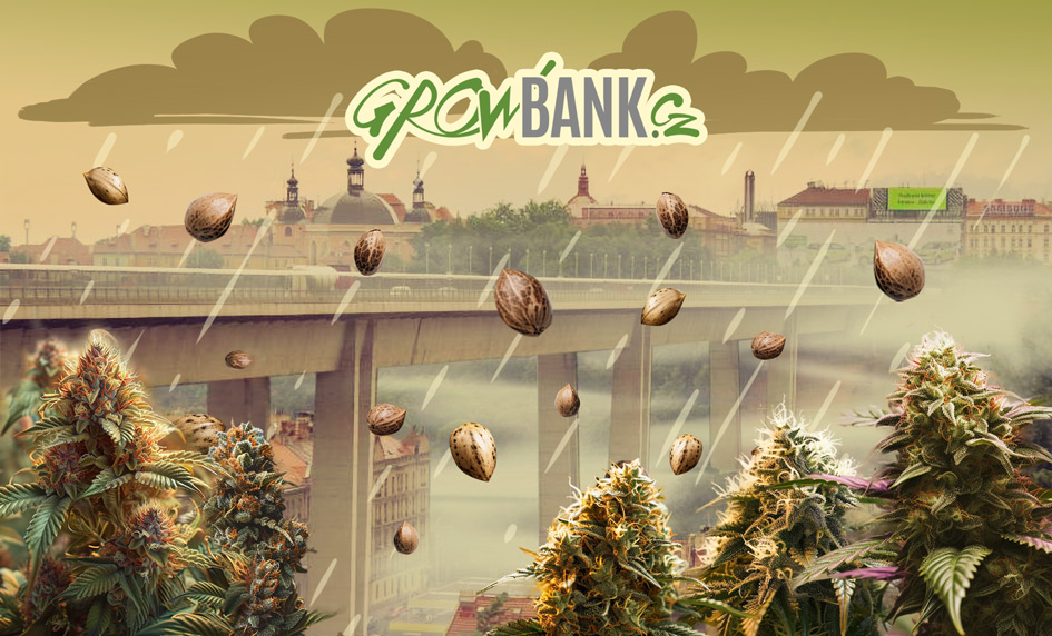 Growbank.cz