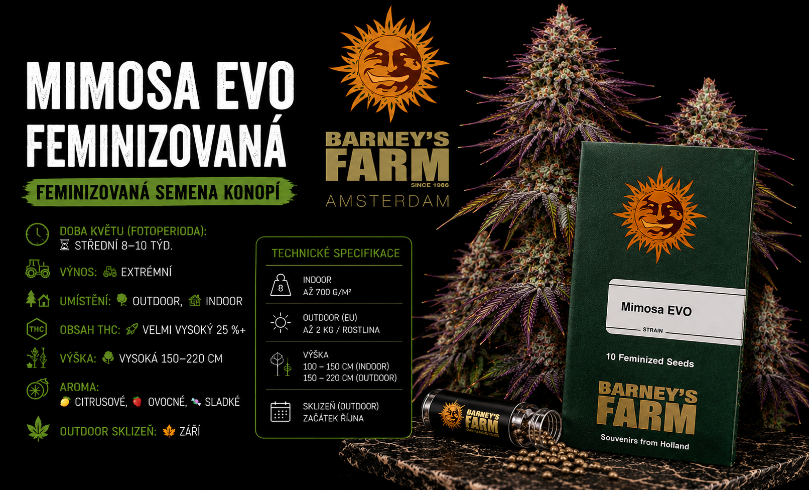 mimosa evo