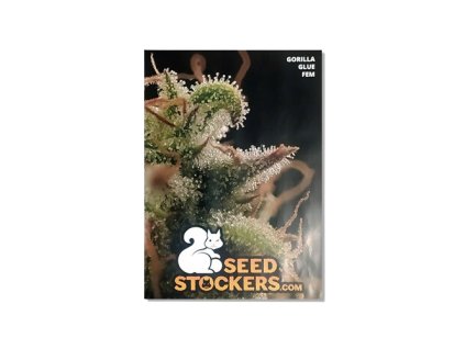 plakat gorilla glue seedstockers.png