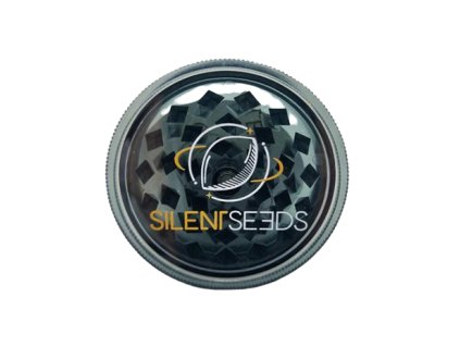 drticka silent seeds.png