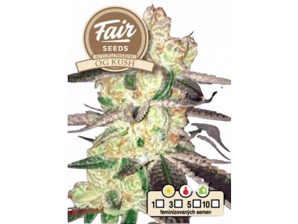 auto og kush fair seeds.png