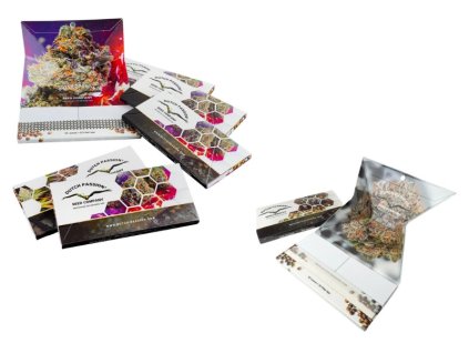 Návrh bez názvu (13)