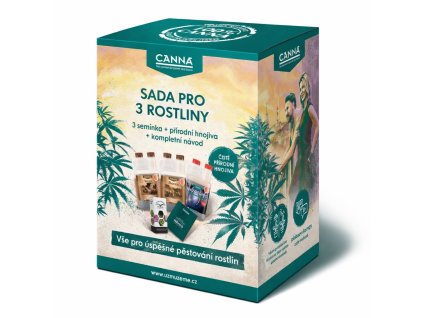 canna sada pro pestovani.png