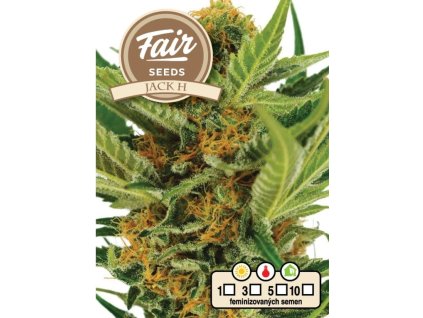 1746 fair seeds jack h 2024