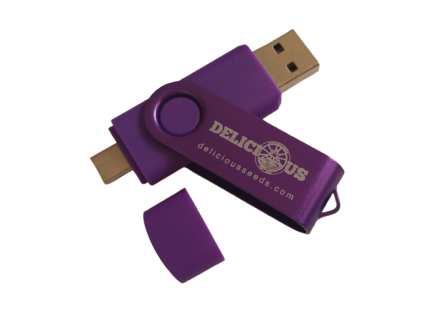 usb flash disk del seeds removebg preview
