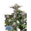 frostbanger f4 auto fastbuds removebg preview