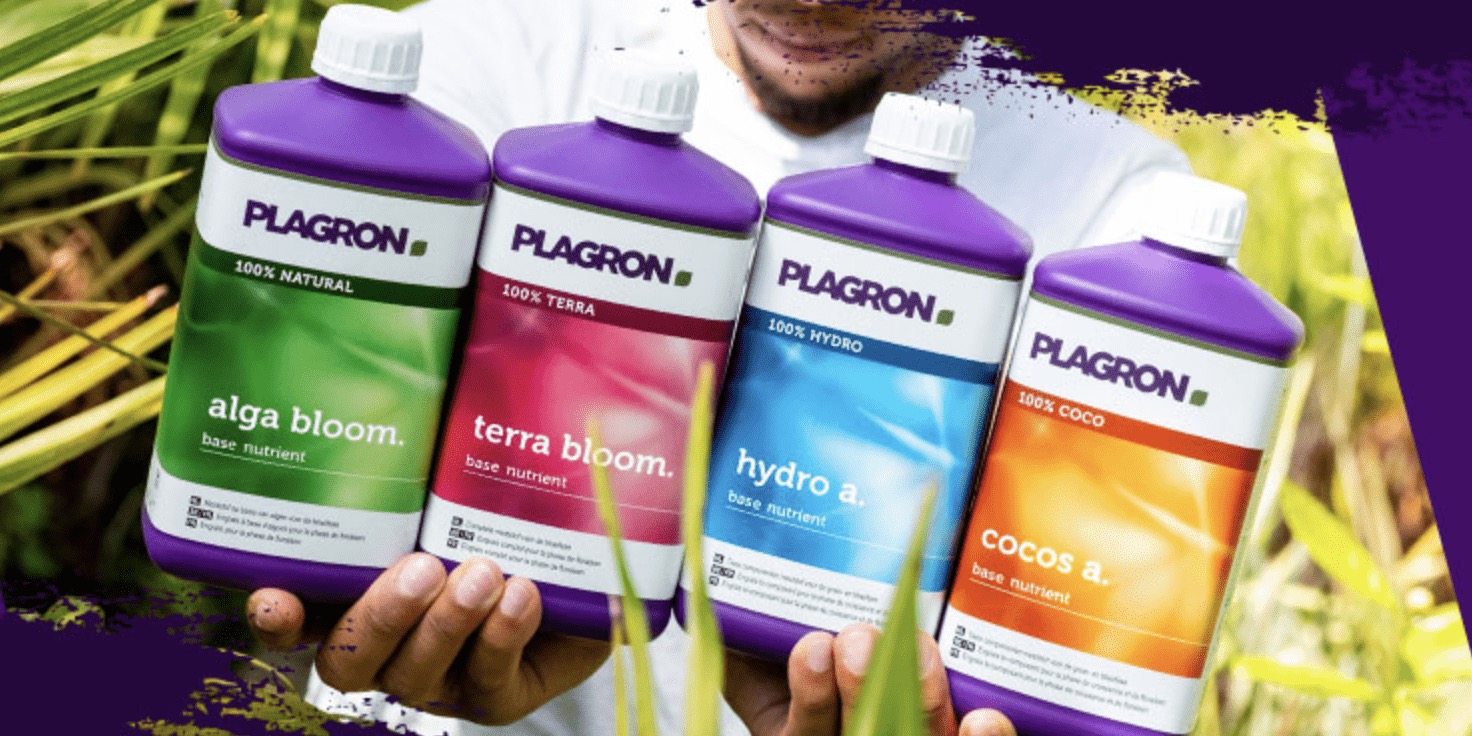 Organici, minerali sau vegani? Diferențele dintre tipurile de nutrienți explicate clar