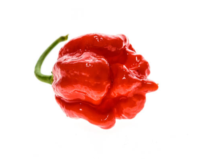 moruga