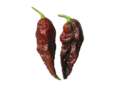 Bhut Jolokia Chocolate