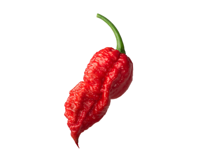 Bhut jolokia red
