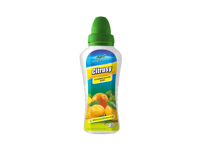 CITRUS500