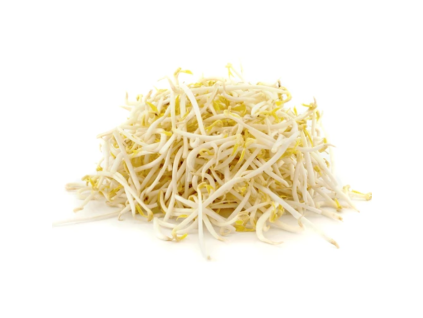 mungo bean