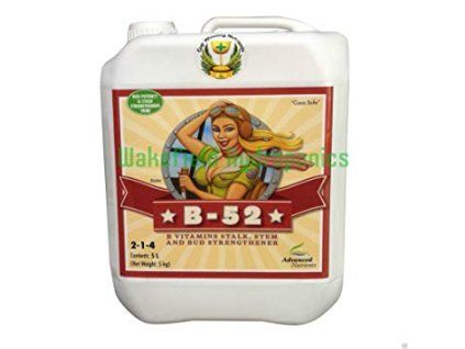 4381 advanced nutrients b 52 objem 4l