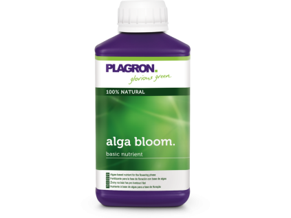2089 1 alga bloom 1l