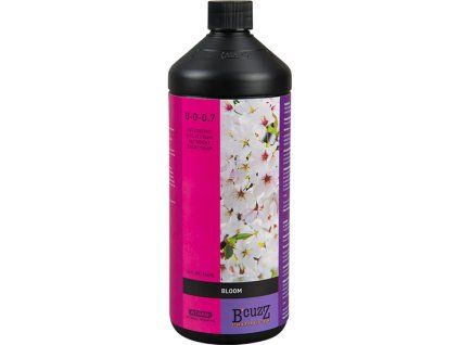 4642 bcuzz bloom