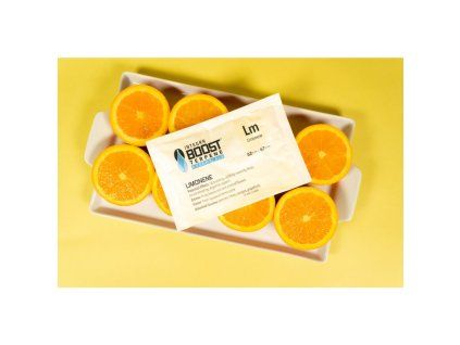 23029 4 limonen 67