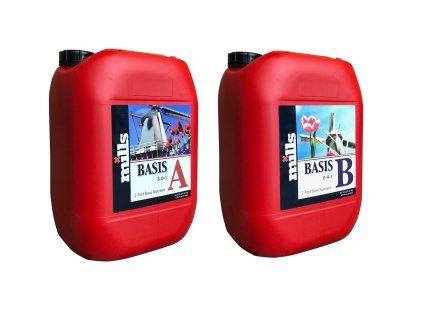 8889 6 mills basis a b