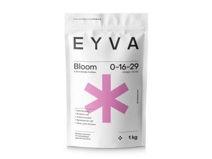 49734 eyva solid bloom