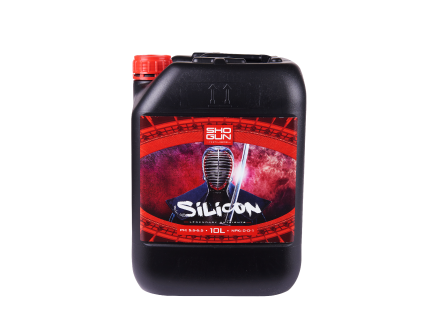 21537 2 silicon 10l