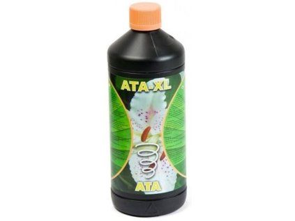 1920 atami ata xl