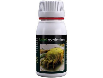 total explosion