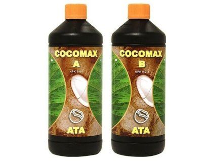 1911 1 atami ata coco max a b