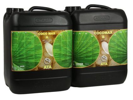 1911 3 atami ata coco max a b