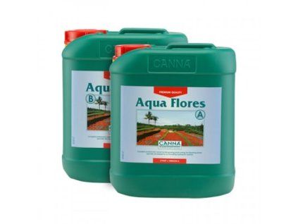 2045 1 canna aqua flores ab