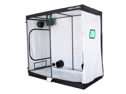 WHITE XXL HLa