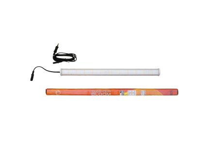 T led bloom 2