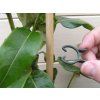 371b w1815 plant clips 2 10