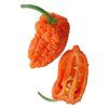 Naga Morich Pepper