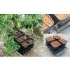2941 3 tray pro atami wilma s