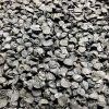 36422 1 cibule na microgreens 50 g