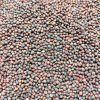 36410 cerna toskanska kapusta na microgreens 50 g