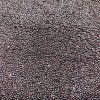 36419 cerveny amaranth na microgreens 50 g